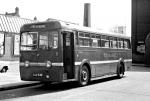 Leyland Royal Tiger PSU1/13 1950 года